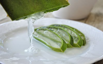 The Health Benefits of Aloe Juice: Unveiling the Power of Nature’s Miracle Plant